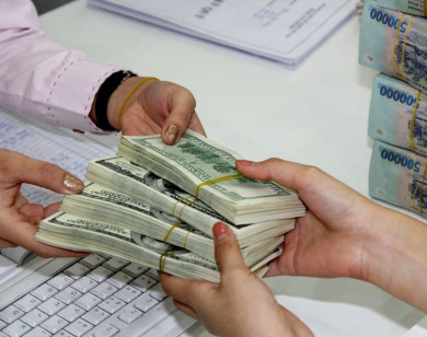 Giá ngoại tệ ngày 14/1/2026: USD bật tăng trở lại