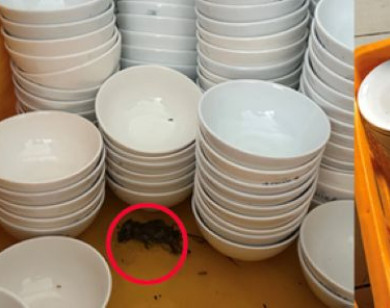 TP Hồ Chí Minh: Tổng kiểm tra các cơ sở tiệc cưới sau lùm xùm tại Adora