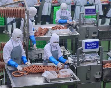 Lỗ hổng hàng rào thú y và hậu kiểm an toàn thực phẩm