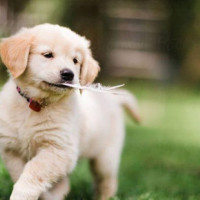 Con số may mắn tài lộc ngày 16/1/2026 của 12 con giáp