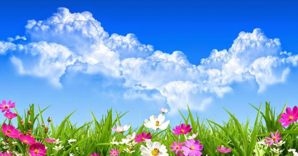 Tử vi ngày 17/1/2026 của 12 cung hoàng đạo: Bạch Dương công việc có thể gặp một số trở ngại