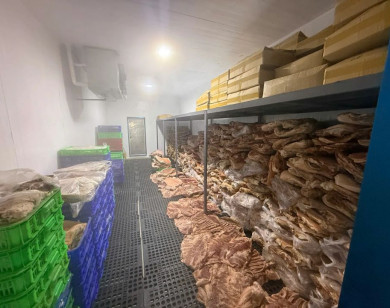 TP Hồ Chí Minh: Thu giữ hơn 50 tấn thịt heo bị “phù phép” thành thịt đà điểu, dê, nai