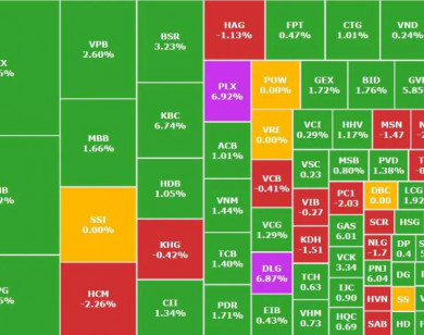Thị trường ổn định sau phiên rung lắc mạnh