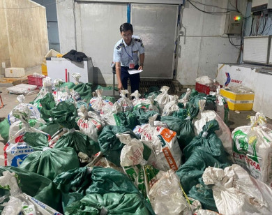 TP Hồ Chí Minh: Thu giữ hơn 18 tấn thực phẩm không rõ nguồn gốc xuất xứ