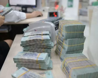 Ngân hàng mùa bội thu