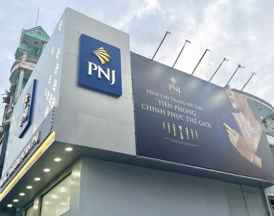 Nghịch lý tại PNJ: Doanh thu vàng 24K "bốc hơi" 43%, vì sao lợi nhuận vẫn lập đỉnh lịch sử?