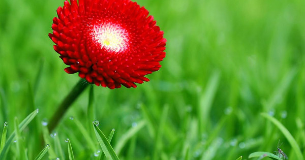 Tử vi ngày 24/1/2026 của 12 cung hoàng đạo: Bảo Bình gặp nhiều may mắn 