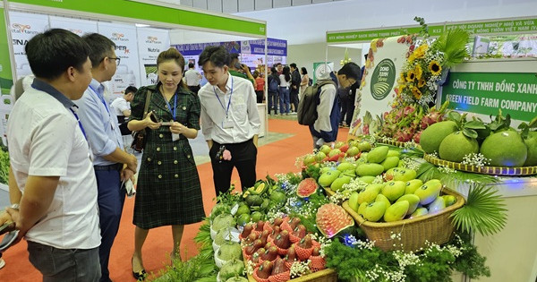 Nông nghiệp Việt Nam: Từ thiếu ăn đến trụ cột xuất khẩu