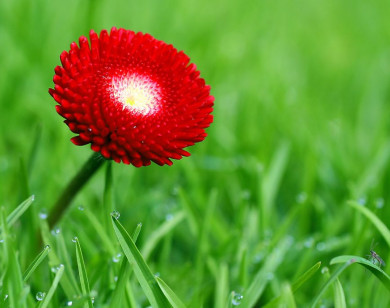 Tử vi ngày 24/1/2026 của 12 cung hoàng đạo: Bảo Bình gặp nhiều may mắn 