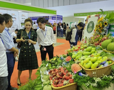 Nông nghiệp Việt Nam: Từ thiếu ăn đến trụ cột xuất khẩu