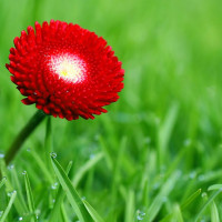 Tử vi ngày 24/1/2026 của 12 cung hoàng đạo: Bảo Bình gặp nhiều may mắn 