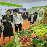 Nông nghiệp Việt Nam: Từ thiếu ăn đến trụ cột xuất khẩu