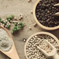 Giá nông sản ngày 24/1/2026: Cà phê đảo chiều giảm, hồ tiêu bật tăng trở lại