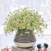 Tử vi ngày 25/1/2026 của 12 cung hoàng đạo: Sức khỏe của Sư Tử khá tốt