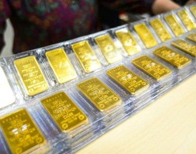 Giá vàng ngày 25/1/2026: Vàng trong nước tăng vọt lên 174,3 triệu đồng/lượng