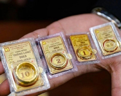 Giá vàng ngày 26/1/2026: Vàng trong nước giữ đỉnh, thế giới tiến sát mốc 5.000 USD
