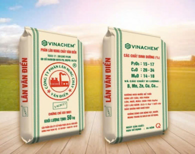 HoSE yêu cầu Phân lân Văn Điển (VAF) nghiêm túc minh bạch thông tin cho cổ đông ngoại