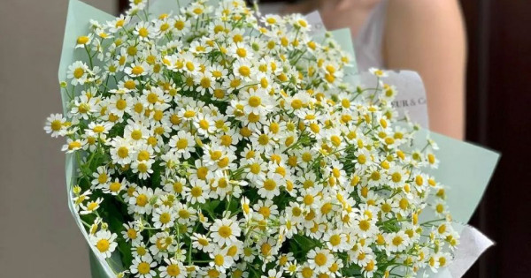 Tử vi ngày 29/1/2026 của 12 cung hoàng đạo: Tài chính của Bọ Cạp có dấu hiệu cải thiện