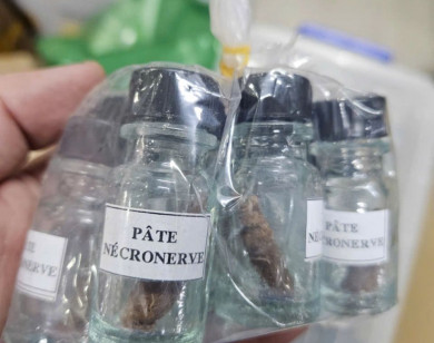 TP Hồ Chí Minh triệt phá đường dây sản xuất, mua bán trái phép thạch tín dùng trong nha khoa