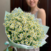 Tử vi ngày 29/1/2026 của 12 cung hoàng đạo: Tài chính của Bọ Cạp có dấu hiệu cải thiện