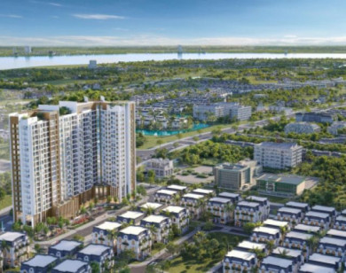 TP Hồ Chí Minh cảnh báo rủi ro mất trắng tài sản khi mua đất dự án bằng giấy tay