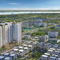 TP Hồ Chí Minh cảnh báo rủi ro mất trắng tài sản khi mua đất dự án bằng giấy tay