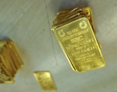 Giá vàng ngày 31/1/2026: SJC "bốc hơi" hơn 10 triệu đồng/lượng