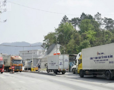 Nguy cơ tê liệt thông quan thực phẩm nhập khẩu do vướng quy định mới