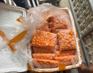 Thu giữ hơn 12 tấn hàng thực phẩm không rõ nguồn gốc tại Hà Nội