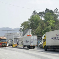 Nguy cơ tê liệt thông quan thực phẩm nhập khẩu do vướng quy định mới