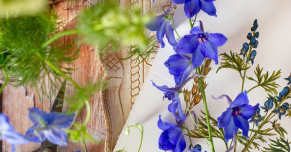 Tử vi ngày 2/2/2026 của 12 cung hoàng đạo: Song Ngư tài lộc có khởi sắc mới