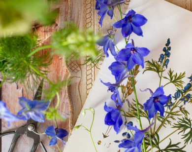 Tử vi ngày 2/2/2026 của 12 cung hoàng đạo: Song Ngư tài lộc có khởi sắc mới