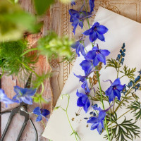 Tử vi ngày 2/2/2026 của 12 cung hoàng đạo: Song Ngư tài lộc có khởi sắc mới