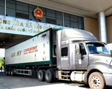 Tạm ngưng áp dụng Nghị định số 46 về an toàn thực phẩm đến hết ngày 15/4