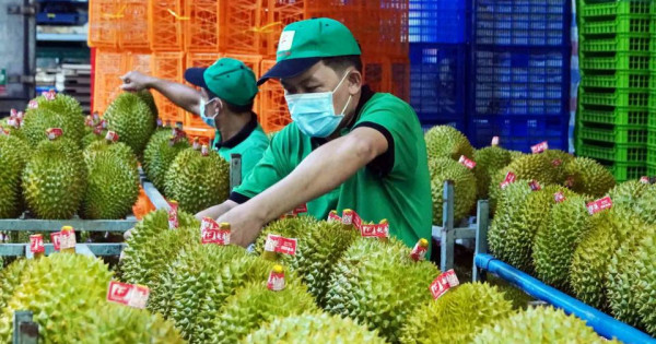 Xuất khẩu nông sản - bứt phá ngay từ đầu năm