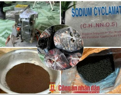 Triệt xóa đường dây sản xuất, buôn bán cà phê bột giả quy mô lớn tại An Giang