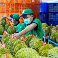 Xuất khẩu nông sản - bứt phá ngay từ đầu năm