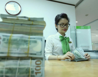 Giải bài toán áp lực tỷ giá