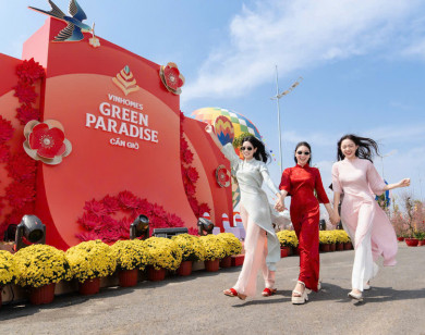 Ngắm khinh khí cầu, check-in mai cổ thụ 150 tuổi: Trải nghiệm Tết "có một không hai" tại Cần Giờ