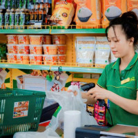 Rời bỏ vùng an toàn, Bách Hóa Xanh tiến quân ra Bắc với 1.000 cửa hàng mở mới