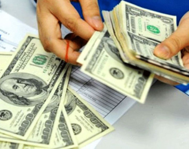 Giá ngoại tệ ngày 16/2/2026: USD chịu áp lực khi lạm phát Mỹ hạ nhiệt