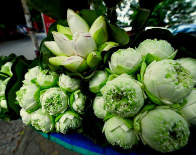 Đi lễ chùa đầu năm nên chọn hoa gì để cầu bình an và may mắn?