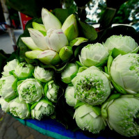 Đi lễ chùa đầu năm nên chọn hoa gì để cầu bình an và may mắn?