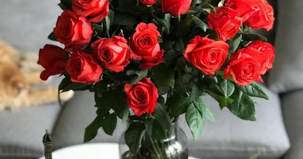 Tử vi ngày 20/2/2026 của 12 cung hoàng đạo: Song Ngư tài lộc khá tốt