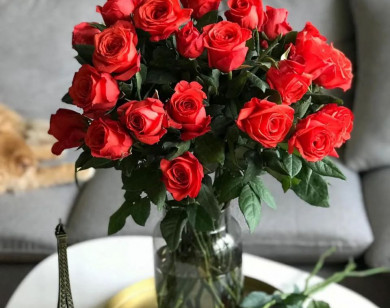 Tử vi ngày 20/2/2026 của 12 cung hoàng đạo: Song Ngư tài lộc khá tốt