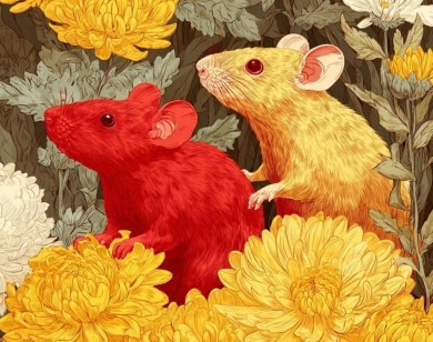 Con số may mắn tài lộc ngày 22/2/2026 của 12 con giáp