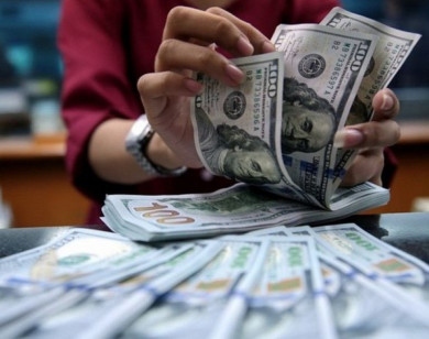 Giá ngoại tệ ngày 23/2/2026: USD đứng yên chờ tín hiệu nới lỏng từ Fed