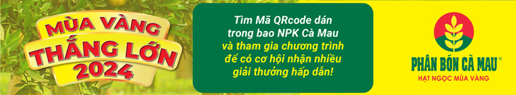 Banner ĐẠM CÀ MAU NGANG
