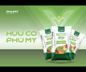 BannerPhuMy-300x250_TopRight