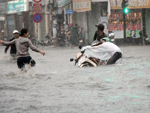 Mô tả ảnh